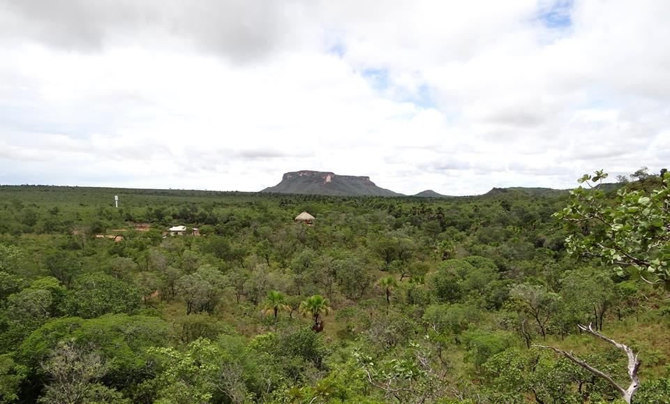 Mata de cerrado densa com a Serra da Catedral no horizonte